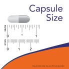 Now Foods 8 Billion Acidophilus & Bifidus - Probiotikumok 60 Veg Kapszula