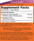 Now Foods Pycnogenol 100 mg 60 Veg Kapszula