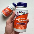 Now Foods Pycnogenol 100 mg 60 Veg Kapszula