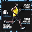 Universal Nutrition Animal Flex - Komplex Ízületvédő 44 Csomag