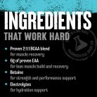 Universal Nutrition Animal Juiced Aminos - Aminosav Mátrix por 368 g