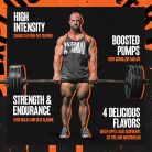 Universal Nutrition Animal Fury - Edzés Előtti Teljesítményfokozó 480 g