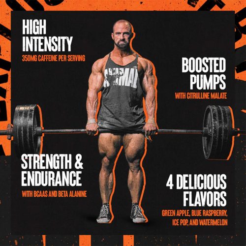 Universal Nutrition Animal Fury - Edzés Előtti Teljesítményfokozó 480 g