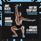 Universal Nutrition Animal Flex Powder - Komplex Ízületvédő por 381 g