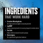 Universal Nutrition Kreatin HMB+ 327 g