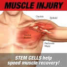 MuscleMeds Stemtropin 60 Kapszula