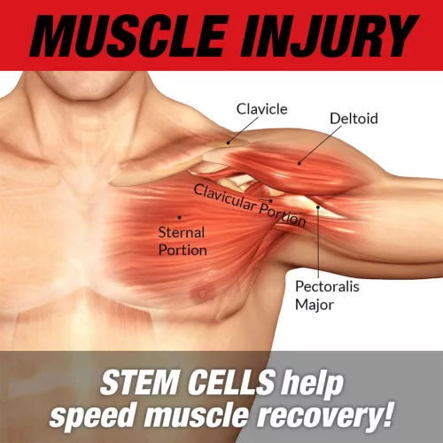 MuscleMeds Stemtropin 60 Kapszula