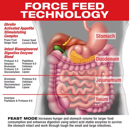 MuscleMeds Testsúly Növelést Segítő Formula - Feast Mode (Appetite Stimulant) 90 Kapszula