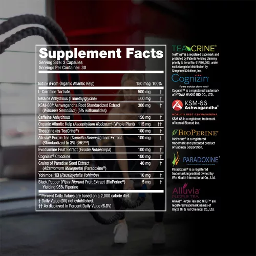 Steelfit Shredded Steel® - Erőteljes Zsírégető 90 Kapszula