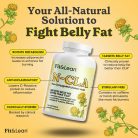 Fit & Lean N-Cla 120 Lágykapszula