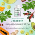 Fit & Lean CollaVen - Vegán Kollagén 60 Kapszula