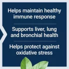 Life Extension N-acetil-L-cisztein (NAC) 600 mg 60 Kapszula