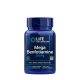 Life Extension Mega Benfotiamine 250 mg 120 Veg Kapszula