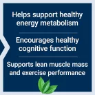 Life Extension Creatine & Acetyl-L-Carnitine Energy Plus 233 g