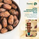 Himalaya Intenzíven Hidratáló Kakaóvajas Ajakbalzsam 10 g