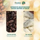 Himalaya Intenzíven Hidratáló Kakaóvajas Ajakbalzsam 10 g