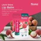 Himalaya Licsis ajakbalzsam 4,5 g