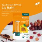 Himalaya Fényvédő Ajakbalzsam SPF50 4,5 g