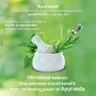Himalaya Proteines Regeneráló Sampon Sérült Hajra 400 ml