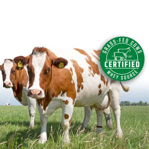 Nutrend 100% Whey Protein 1000 g