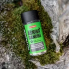 Nutrend Ashwaganda KSM-66 60 Kapszula