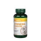 Vitaking Gymnema Sylvestre 400 mg 90 Kapszula