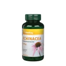 Vitaking Echinacea (Bíbor Kasvirág) Kivonat 90 Kapszula