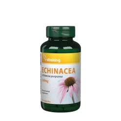 Vitaking Echinacea (Bíbor Kasvirág) Kivonat 90 Kapszula
