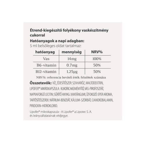 Vitaking VitaFer Vas Szirup 120 ml