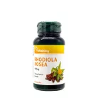 Vitaking Rhodiola Rosea - Rózsagyökér Kivonat 400 mg 60 Kapszula