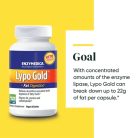 Enzymedica Lipo Gold - Zsír emésztést segítő kapszula 60 Kapszula