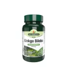 Natures Aid Ginkgo Biloba 120 mg kivonat 90 Tabletta