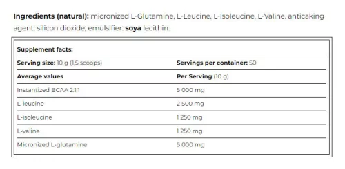 Amix Glutamine + BCAA por 1000 g
