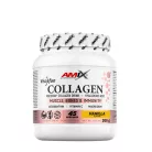 Amix Viscofan Collagen Drink 300 g