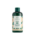 The Body Shop Sheás Sampon 250 ml