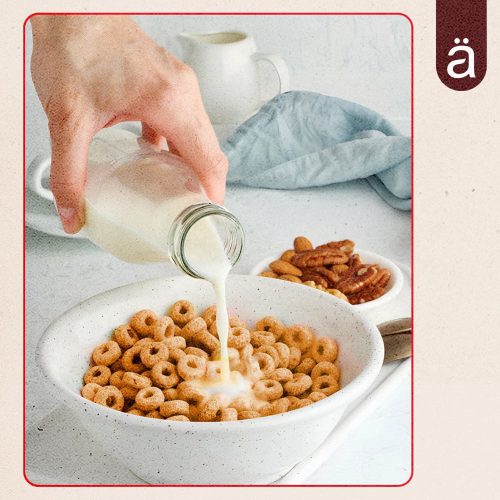 Nanosupps Whey Protein - Tejsavófehérje 1000 g