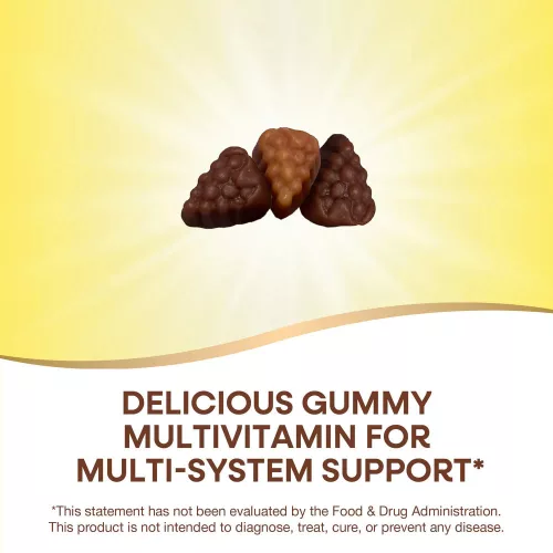 Nature's Way Alive!® Premium Adult Multivitamin Gummies 90 Gumicukor