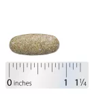 Nature's Way Alive!® Max3 Daily Multivitamin Without Iron 90 Tabletta