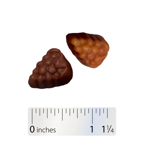 Nature's Way Alive!® Women's 50+ Gummy Multivitamin 60 Gumicukor