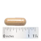 Nature's Way Astragalus Root 100 Kapszula
