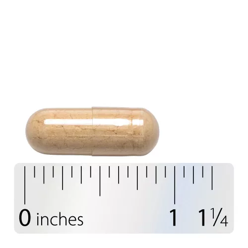 Nature's Way Astragalus Root 100 Kapszula