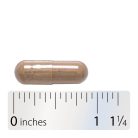 Nature's Way Black Cohosh Root 100 Kapszula