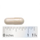 Nature's Way Fortify® Optima® 100 Billion Probiotic 30 Kapszula