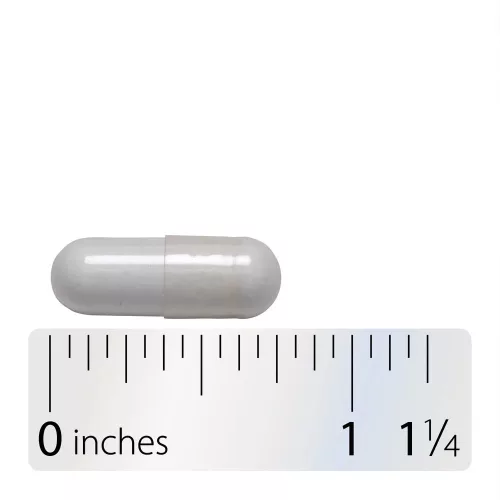 Nature's Way L-Theanine 60 Kapszula