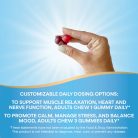 Nature's Way Magnesium Gummy 60 Gumicukor