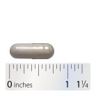 Nature's Way Primadophilus® Reuteri Probiotics 30 Kapszula