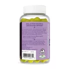 Nature's Way Quercetin Gummies with Zinc 60 Gumicukor