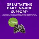 Nature's Way Sambucus Gummies 60 Gumicukor
