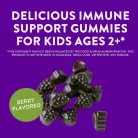 Nature's Way Sambucus Kids Immune Gummies 60 Gumicukor