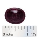 Nature's Way Sambucus Immune Természetes Szopogató Tabletta 24 szopogatótabletta